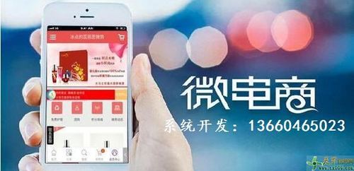 专业代理商下单返利系统开发平台—广州天下信息网